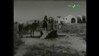 Lucania documentario storico il Metapontino nel 1958 [upl. by Matias]