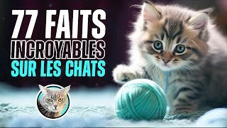 77 faits SURPRENANTS sur les CHATS   Doc Seven [upl. by Ayimat]