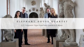 Elephant House Quartet Telemann Gigue from Paris Quartet in A Minor [upl. by Tymon904]