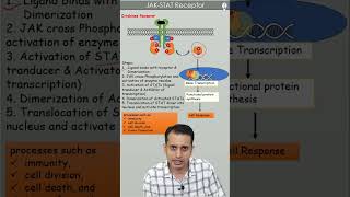 JAK STAT Signaling Pathway  Enzyme liked receptor  GPAT  NEET PG [upl. by Yarehs]