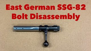 East German SSG82 Bolt Disassembly [upl. by Toma133]