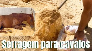 SERRAGEM PARA BAIA DE CAVALO  trocando a cama do cavalo [upl. by Anihpled28]