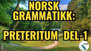 Norsk Grammatikk I Preteritum del  1 Norwegian Grammar  Past Tense part 1norsk grammar [upl. by Mcdonald]