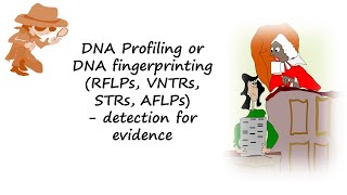 DNA profiling or DNA fingerprinting using RFLPs VNTRs STRs or AFLPs help detect evidencen [upl. by Clausen487]