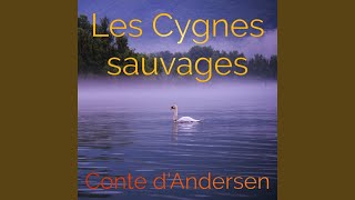 Partie 8 Les Cygnes sauvages Hans Christian Andersen Livre audio [upl. by Elyag]