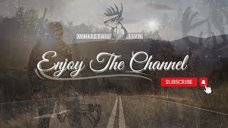 Hunting Big Bucks  Bowhunting Whitetails [upl. by Chaim37]