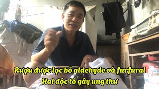 Ngâm RƯỢU ĐÔNG TRÙNG HẠ THẢO [upl. by Ztnahc]