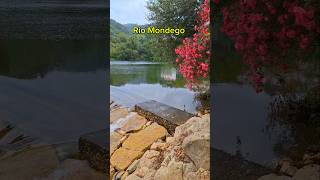 🇵🇹 Rio Mondego Coimbra Portugal [upl. by Alma848]