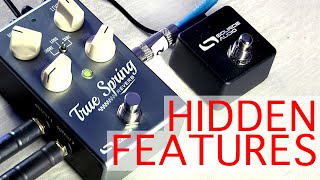 True Spring Reverb Hidden Features [upl. by Ojyma]