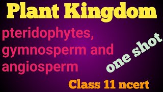 Plant Kingdom class 11 ll pteridophytes gymnosperm and angiosperm ll Biological thoughts ll [upl. by Araht]