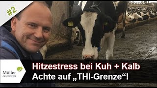 Wann beginnt Hitzestress beim Kalb Wo liegt die Grenze beim THIMesswert  Teil 211 [upl. by Viki648]