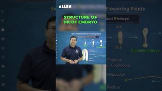 Structure of Dicot Embryo with Advanced Technology 🔬📚 Sexual Reproduction in Flowering Plants 🌸 [upl. by Aikit]