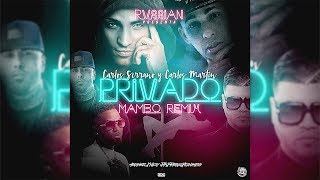 Rvssian  Privado ft Nicky Jam Farruko Arcangel Konshens Mambo Remix [upl. by Izmar]