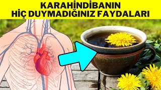 KARAHİNDİBANIN FAYDALARI  KARAHİNDİBA ÇAYI NASIL YAPILIR HİNDİBA OTUNUN FAYDALARI [upl. by Hunsinger]