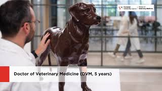 School of Veterinary Medicine [upl. by Ellesig]