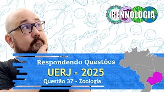 RESOLVENDO QUESTÕES  REGIÃO SUDESTE  UERJ 2025  Questão 37 [upl. by Kathryn]