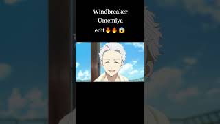 Windbreaker edit umemiya edit‎ trendingshorts animatedcartoon youtubeshort ytshorts [upl. by Light391]