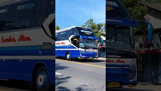 BIG BUS SUMBER ALAM SASIS HINO NGEBUT MELAJU CEPAT shorts trending subscribe haloyoutuber [upl. by Ained267]