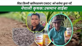 OWDC Original Waste Decomposer Kasari Banoune  Nepali Gardening Tipas Dilli Khatiwada usmanwaiba [upl. by Leesen307]