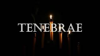 What is TENEBRAE  Wyoming Catholic College Schola [upl. by Hanikehs]