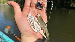 Custom Spinnerbaits Catch TONS OF FISH Kalamazoo River MultiSpecies Fishing [upl. by Stonwin]