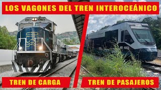 Así son los vagones del tren Interoceánico del Istmo de Tehuantepec [upl. by Nej138]