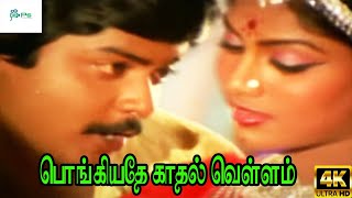 Pongiyathe Kathal Vellam  பொங்கியதே காதல் வெள்ளம் SPBSJanaki  Love Duet melody H D Song [upl. by Jameson]