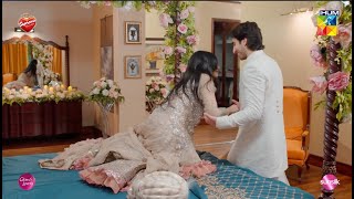 Aj Ki Raat Khoob Masti Hogi seharkhan hamzasohail  Fairy Tale  HUM TV [upl. by Latton511]