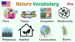 English Vocabulary Nature Words  Nature Related Vocabulary  Nature New Words [upl. by Ajax]