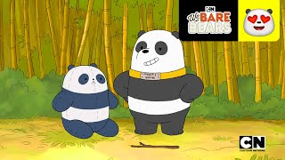 Panda 2  Escandalosos  Cartoon Network [upl. by Bernardine]