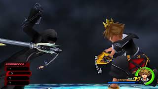 Data Roxas  No Abilitys No Damage [upl. by Farland]