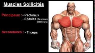 Exercice musculation Pectoraux  quot Développé couché barre incliné quot [upl. by Attenyw902]