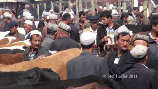 Kashgar Sunday Livestock Market [upl. by Littell437]