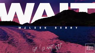 Maleek Berry  Wait Official Audio [upl. by Janik]