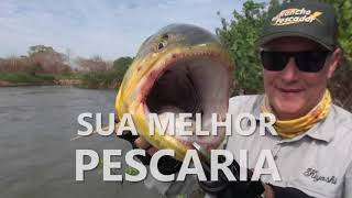 PESCARIA NO PANTANAL  2022 [upl. by Eaver]