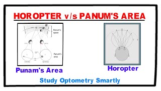 Horopter Vs Panums Fusional Area [upl. by Eerahs887]