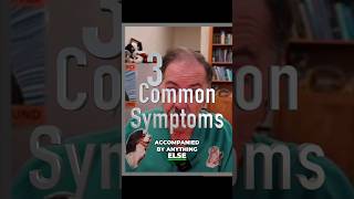 3 Common Causes of Head Shaking in Dogs and Cats veterinary dogshorts doglover [upl. by Yreffeg]