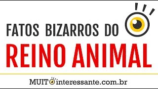 Fatos Bizarros do Reino Animal  MUITO interessante 1 [upl. by Atekihc403]