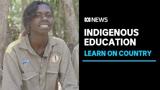 A program embracing Indigenous languages and culture in learning is having great outcomes  ABC News [upl. by Reddy]