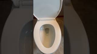 Kohler Toilet Review  Comfortable Height and Decent Flushing Power [upl. by Thagard642]