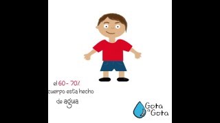 Importancia del agua para nuestro cuerpo [upl. by Itsud]