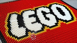 73000 LEGO Bricks of Dominoes [upl. by Seiuqram]