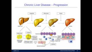 Steven G England  Improved decision making in the drug discovery process using an innovative [upl. by Akcir816]