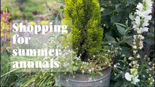 Shopping for summer annuals for containers [upl. by Terchie]