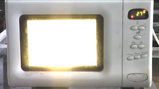 What happens when we put a light bulb or energysaving fluorescent lamp in the microwave microwave [upl. by Othello680]