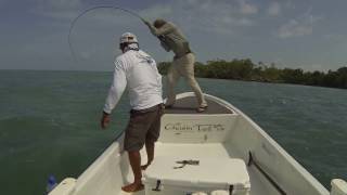 Permit Fishing Caye Caulker Belize [upl. by Aiouqes]