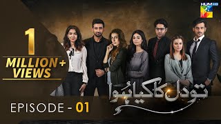 Tou Dil Ka Kia Hua  Episode 01  HD   Ayeza Khan  Sami Khan  Zahid Ahmed   HUM TV Drama [upl. by Nwahsyar]