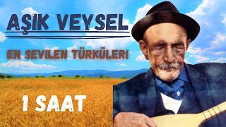 Aşık Veysel En Sevilen Türküleri [upl. by Coleen]