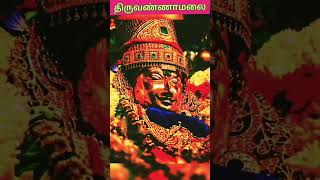 திருவண்ணாமலை பெளர்ணமி கிரிவலம்pournamitiruvannamalaiomomnamahshivayahindutempleniyar0shorts [upl. by Mathi319]