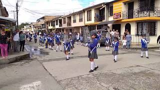 Banda Marcial  Colegio Tecnico Comfacauca Popayán 2018 UHD [upl. by Kcirddot81]